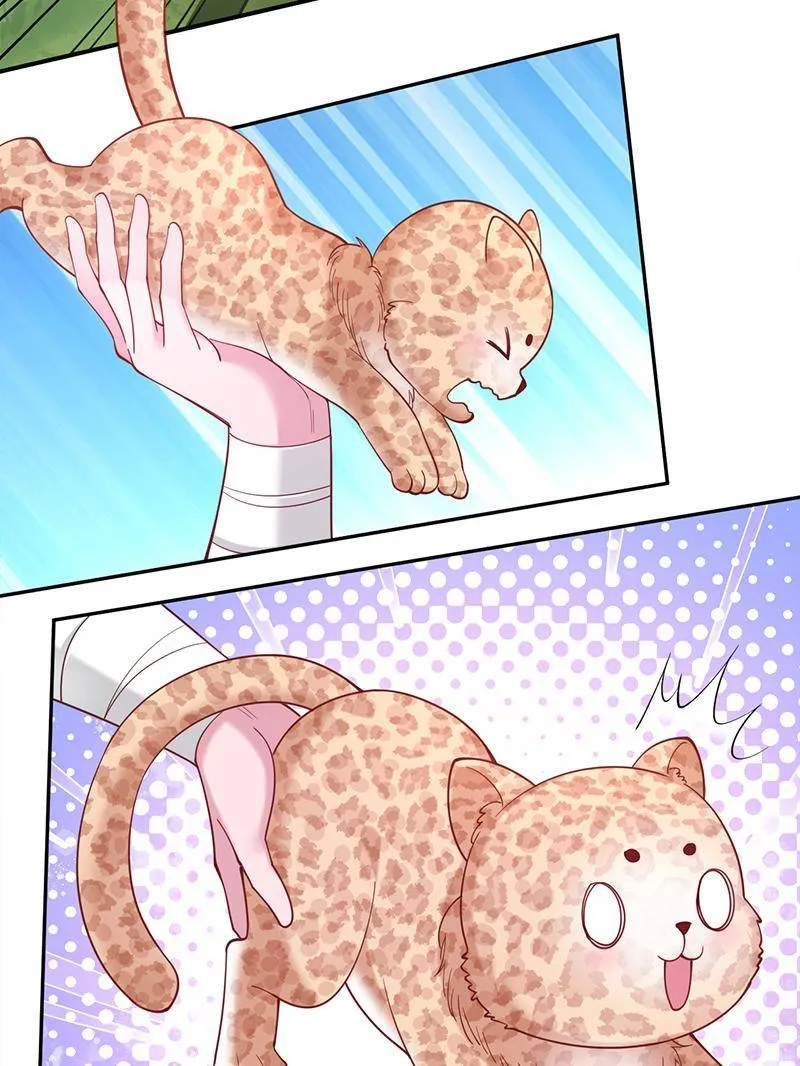 Beauty and the Beasts Chapter 613 Online - página 20