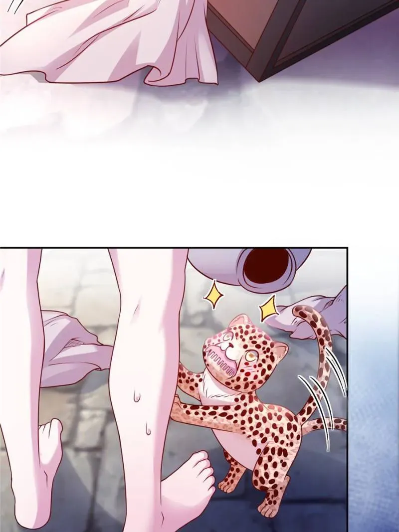 Beauty and the Beasts Chapter 678 Online - página 7