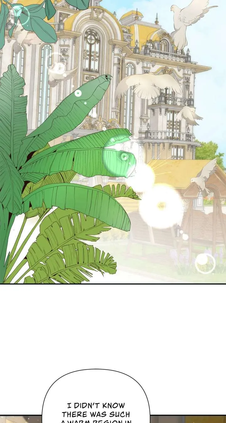 Becoming Best Friends With the Icy Male Lead Chapter 56 Online - página 53