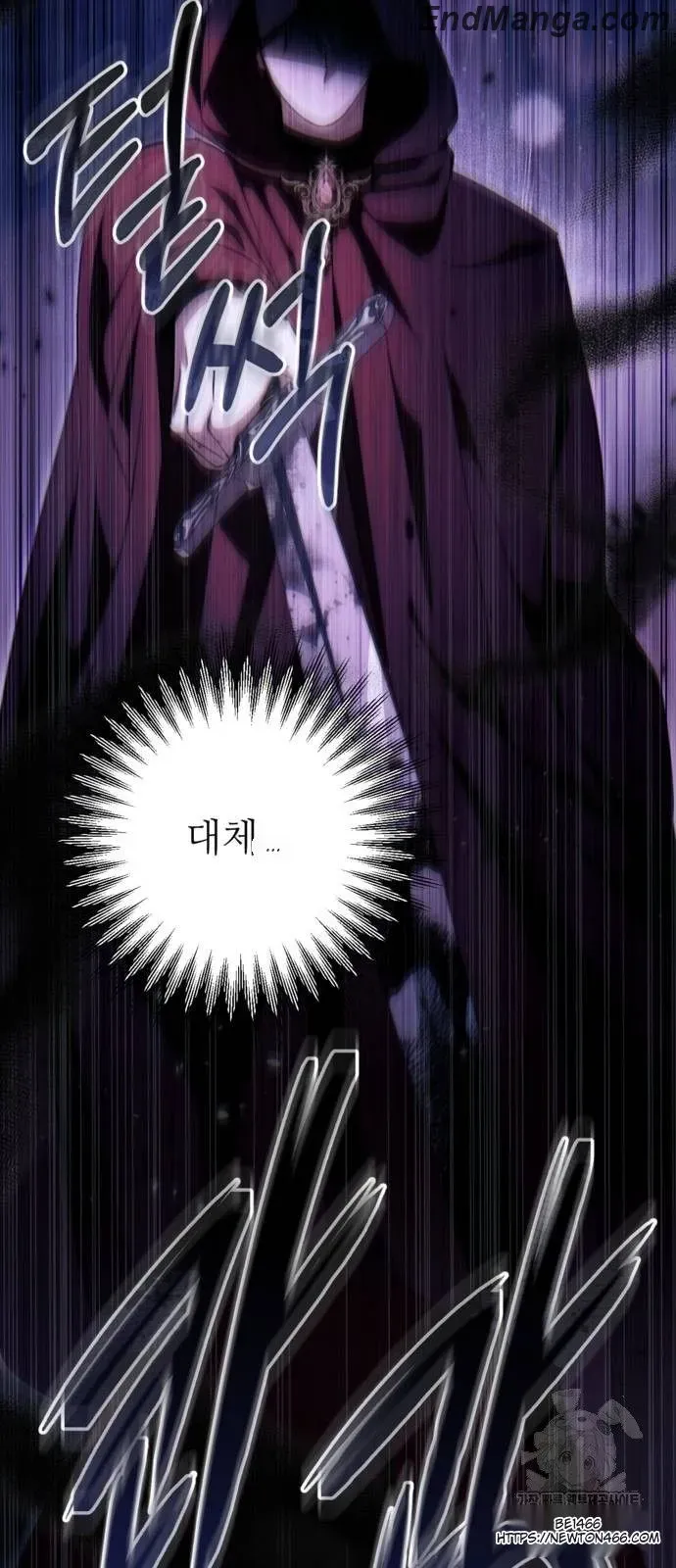 Beneath the Surviving Princess Joyful Facade Chapter 41 Online - página 11