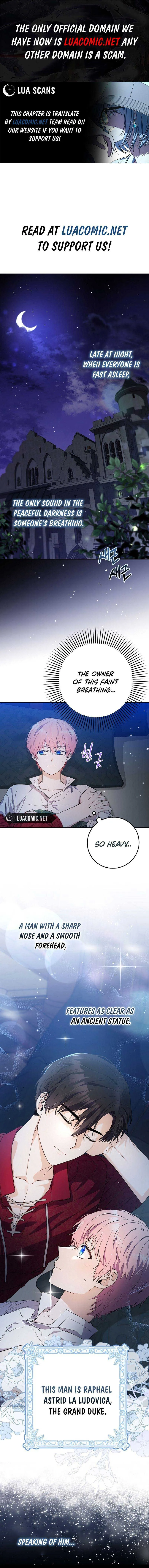 Beware of the Strongest Man Who is Crazy About Me Chapter 1 Online - página 1