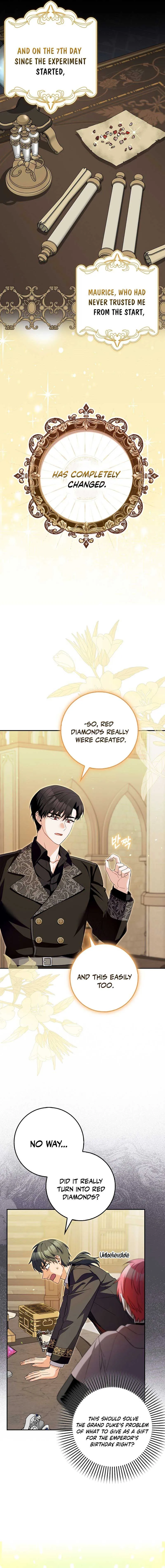 Beware of the Strongest Man Who is Crazy About Me Chapter 14 Online - página 12