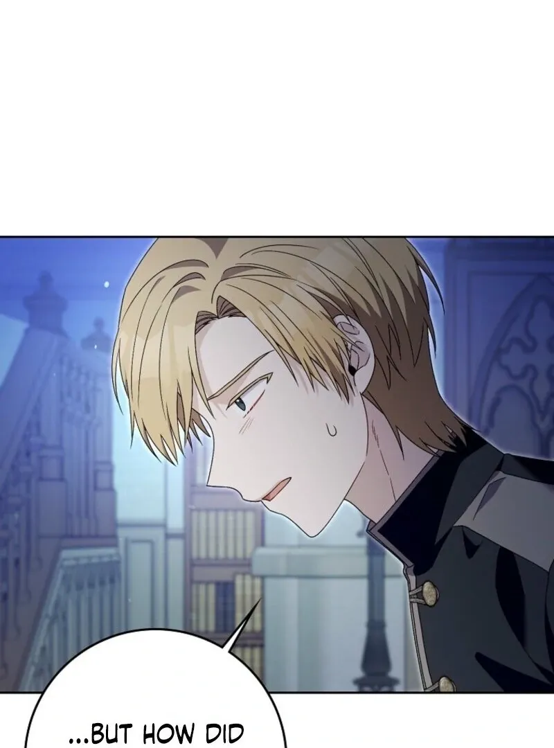 Beware of the Strongest Man Who is Crazy About Me Chapter 48 Online - página 15