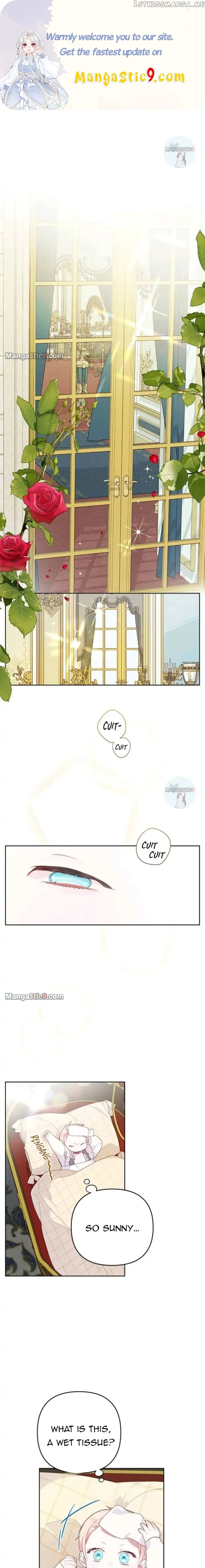 Born a Princess Chapter 14 Online - página 1