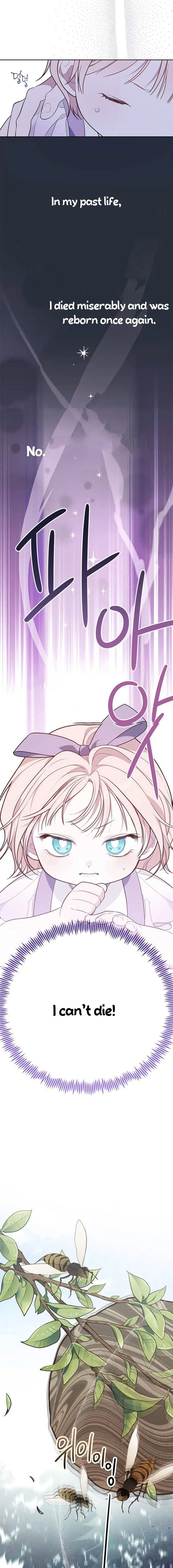 Born a Princess Chapter 31 Online - página 9