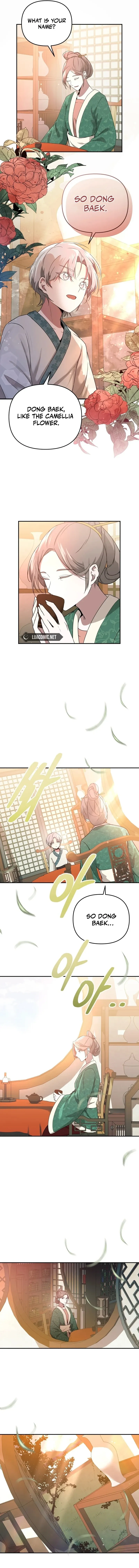 Camellia Chapter 1 Online - página 15