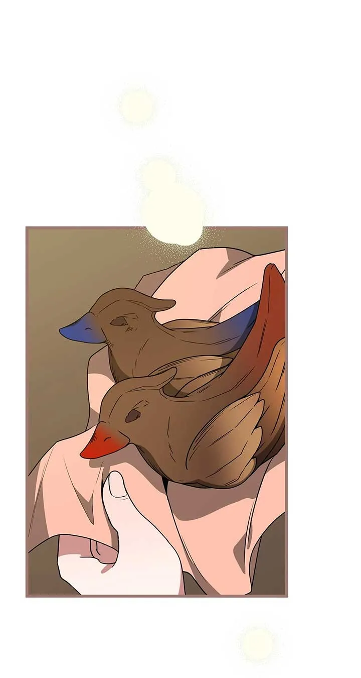 Camellia Chapter 41 Online - página 64