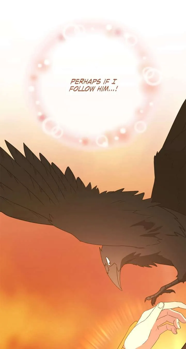 Camellia Chapter 52 Online - página 49