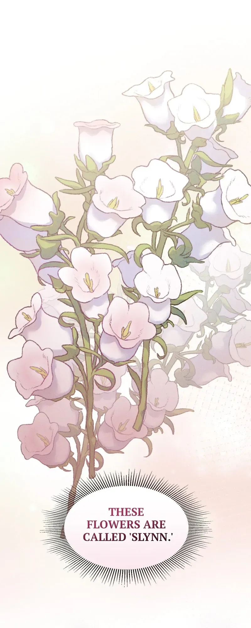 Carnephelia’s Curse is Never Ending Chapter 73 Online - página 15