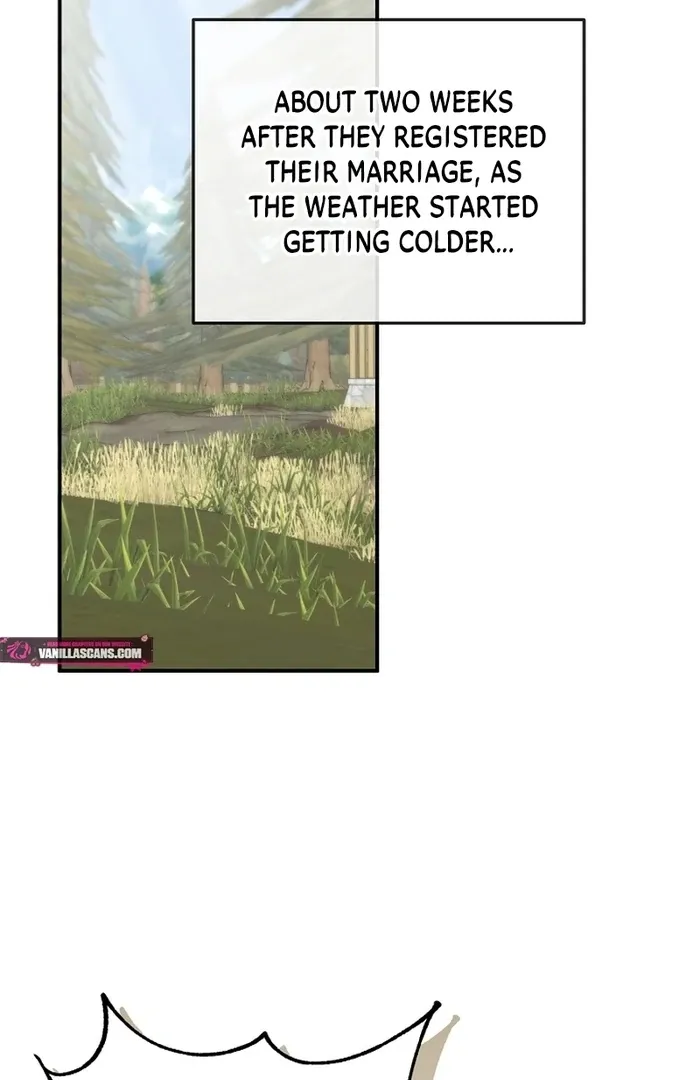 Cassnier’s Secret Memoirs Chapter 21 Online - página 42