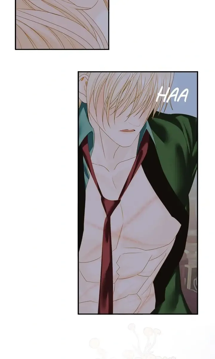 Cassnier’s Secret Memoirs Chapter 38 Online - página 9
