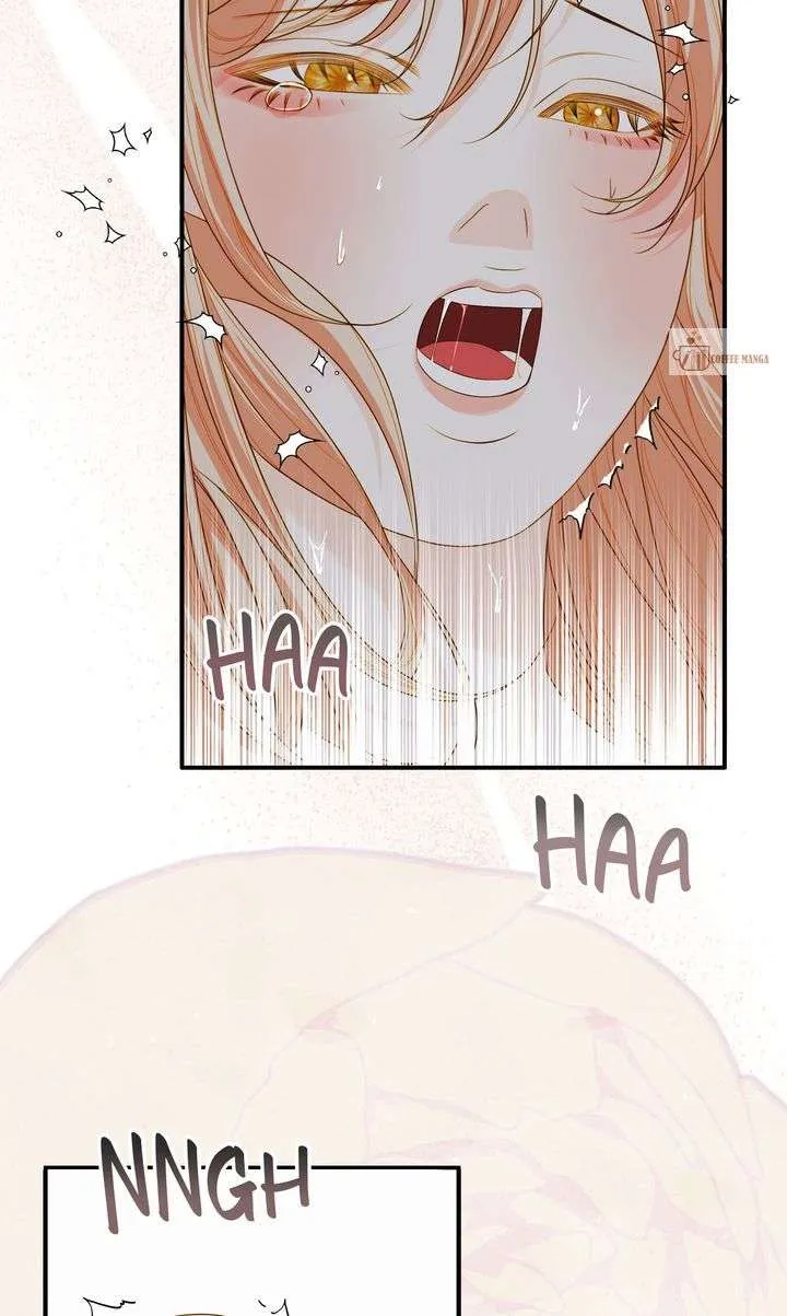 Cassnier’s Secret Memoirs Chapter 42 Online - página 55