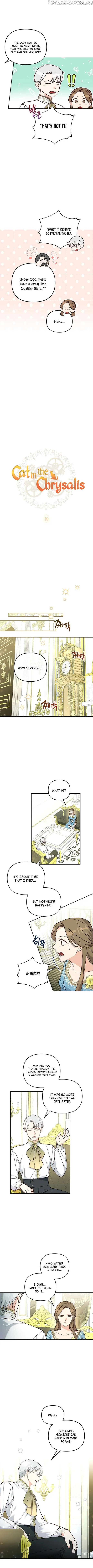 Cat in the Chrysalis Chapter 16 Online - página 3