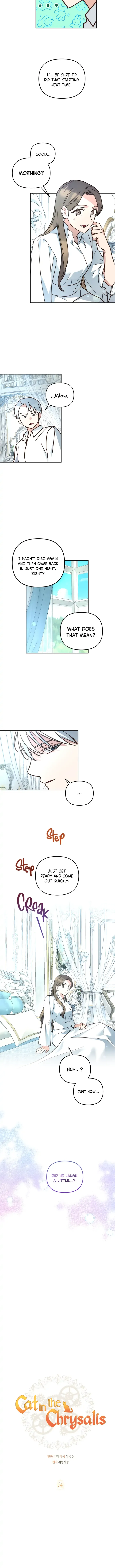Cat in the Chrysalis Chapter 24 Online - página 8