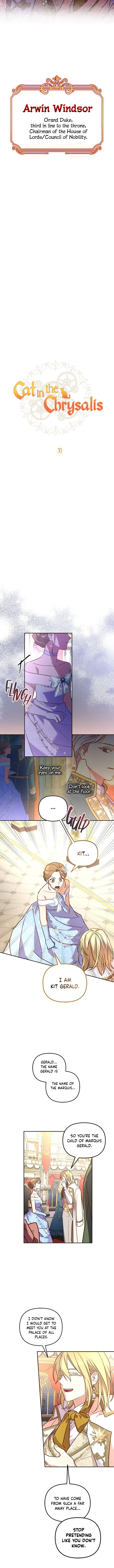 Cat in the Chrysalis Chapter 30 Online - página 8