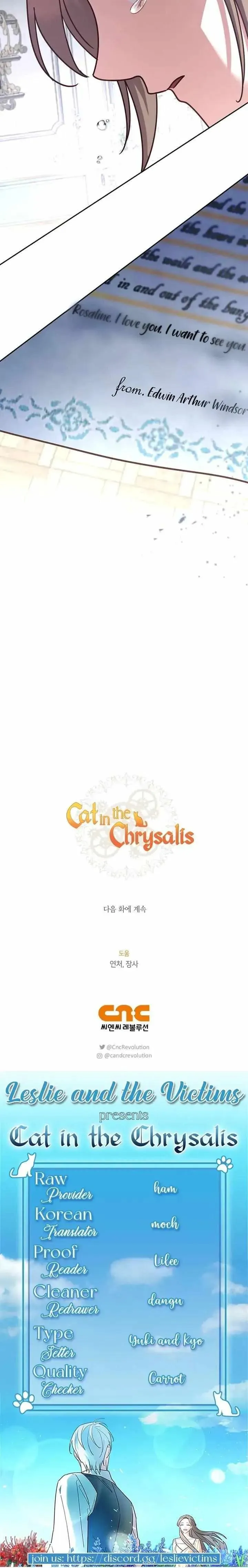 Cat in the Chrysalis Chapter 34 Online - página 27
