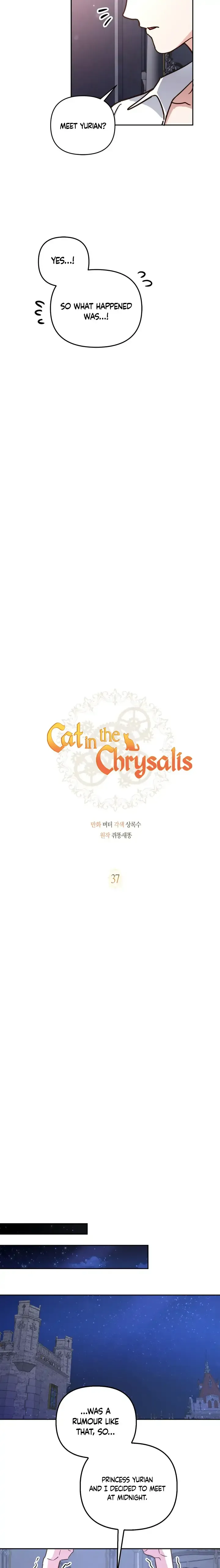 Cat in the Chrysalis Chapter 37 Online - página 5
