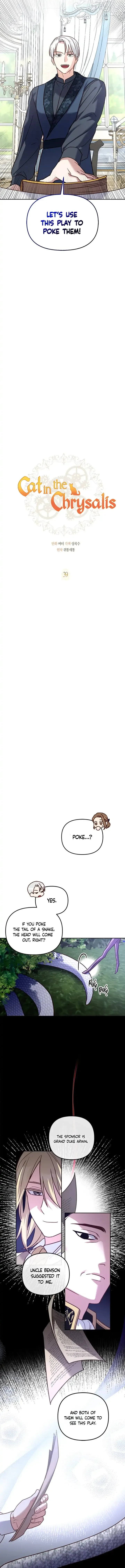 Cat in the Chrysalis Chapter 39 Online - página 11