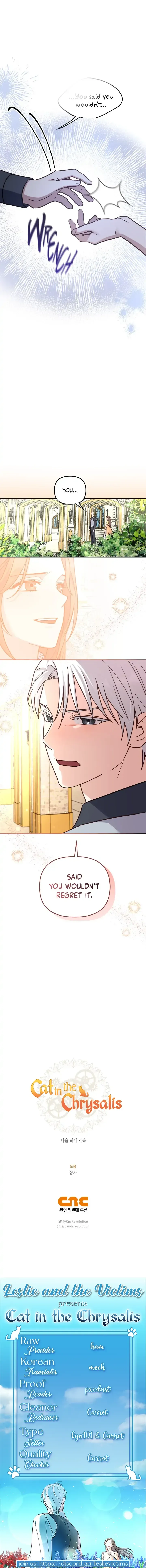 Cat in the Chrysalis Chapter 42 Online - página 17