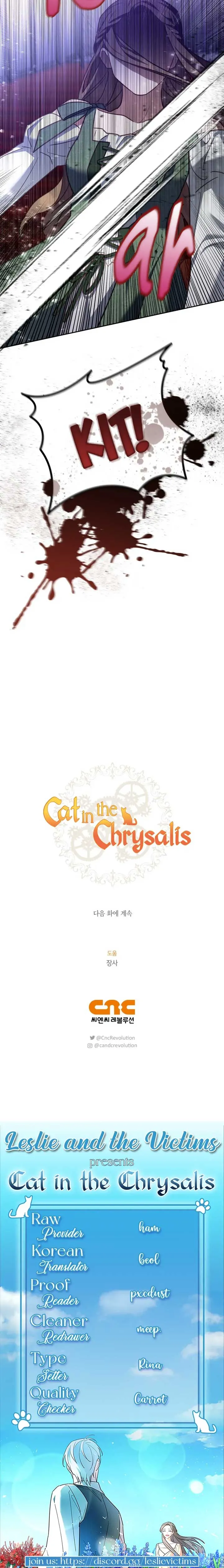 Cat in the Chrysalis Chapter 46 Online - página 27