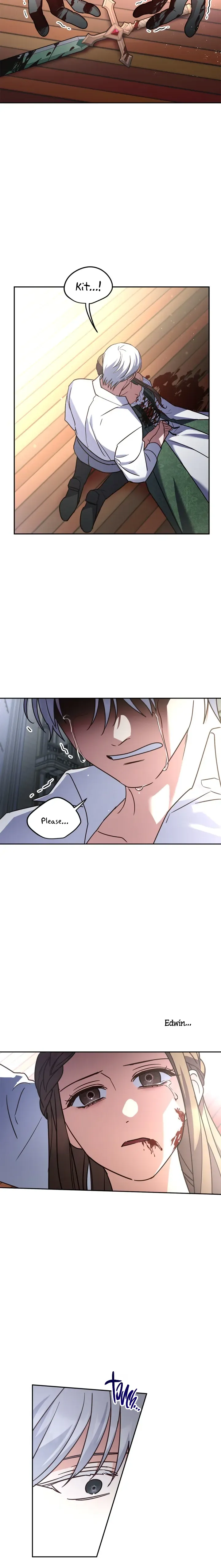 Cat in the Chrysalis Chapter 47 Online - página 4