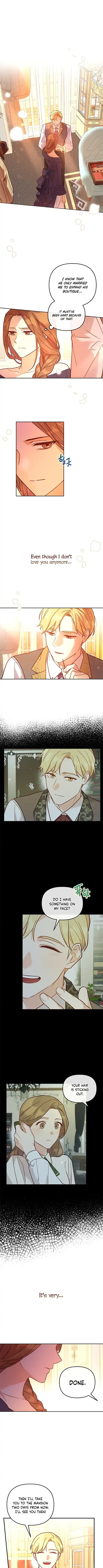 Cat in the Chrysalis Chapter 5 Online - página 1