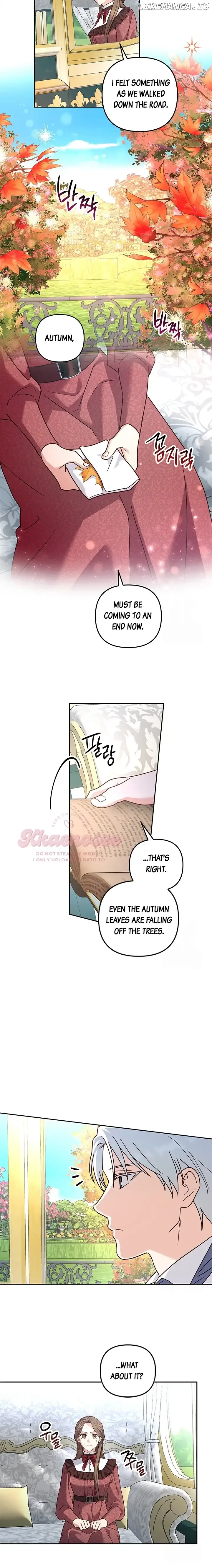 Cat in the Chrysalis Chapter 62 Online - página 5