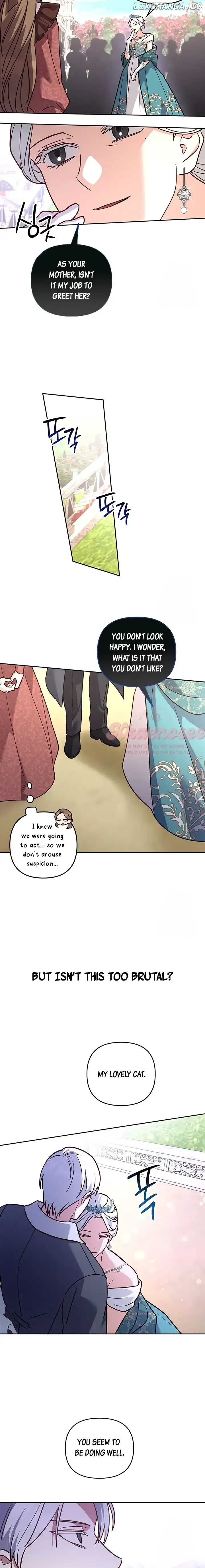 Cat in the Chrysalis Chapter 62 Online - página 9