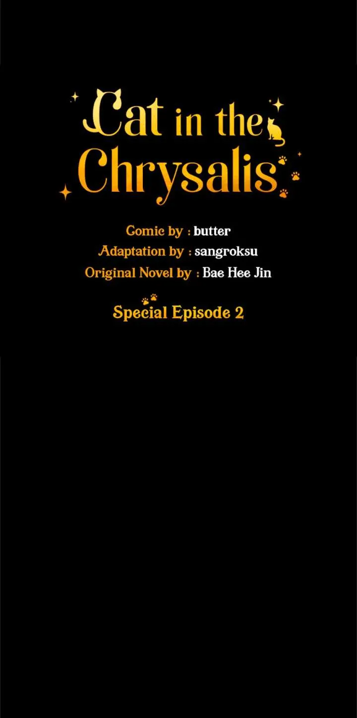 Cat in the Chrysalis Chapter 76 Online - página 31