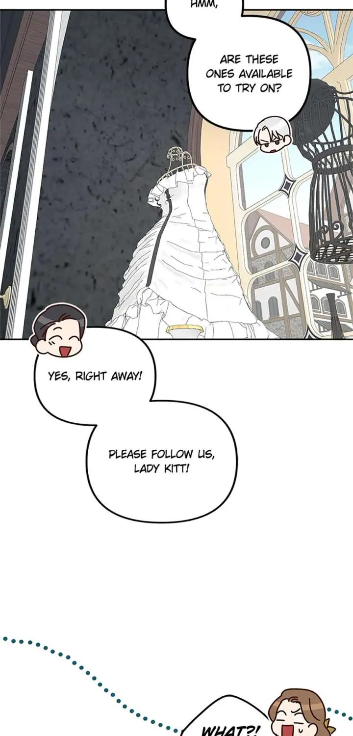 Cat in the Chrysalis Chapter 76 Online - página 52