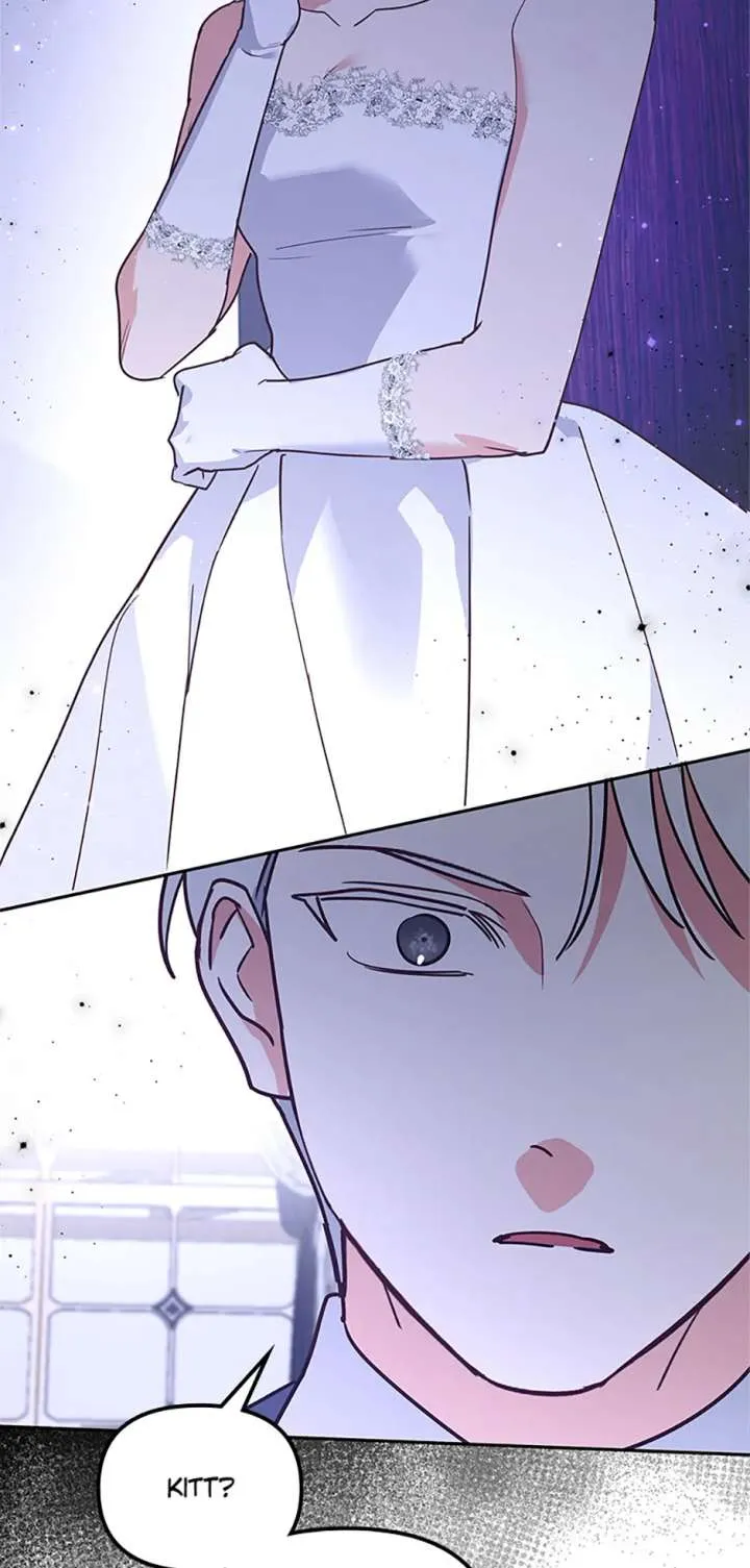 Cat in the Chrysalis Chapter 76 Online - página 66