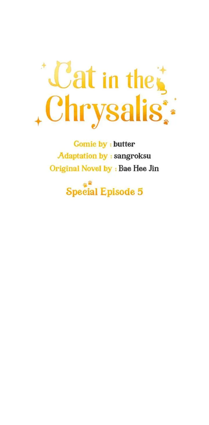 Cat in the Chrysalis Chapter 79 Online - página 5