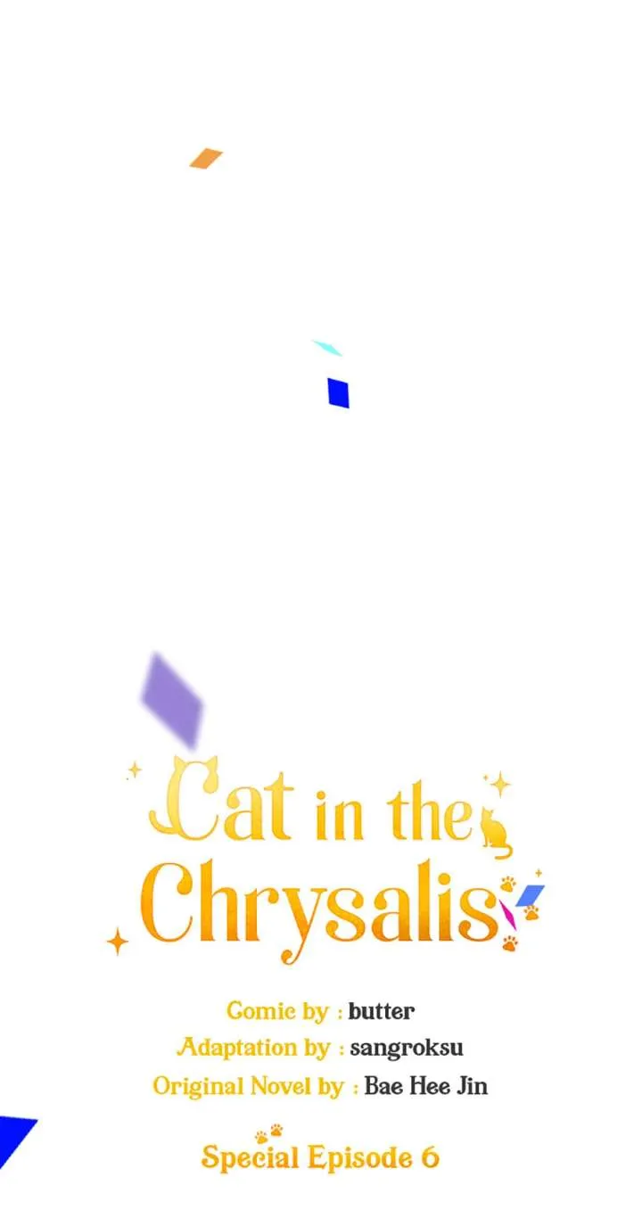 Cat in the Chrysalis Chapter 80 Online - página 17