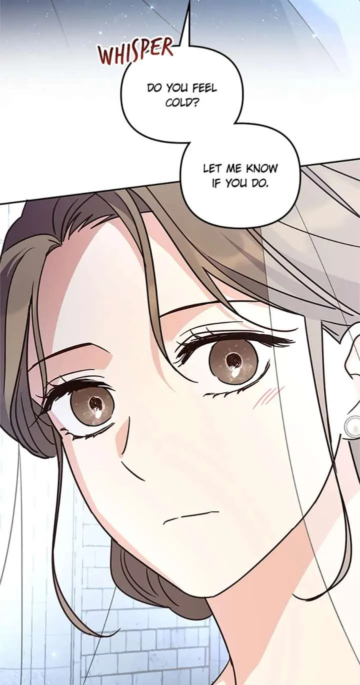 Cat in the Chrysalis Chapter 80 Online - página 28