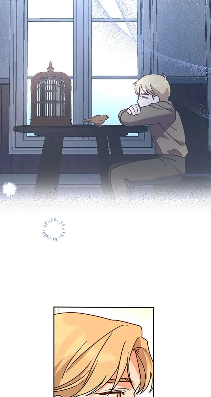 Cat in the Chrysalis Chapter 80 Online - página 61