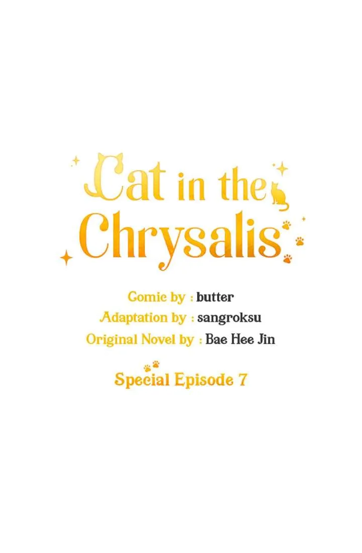 Cat in the Chrysalis Chapter 81 Online - página 9