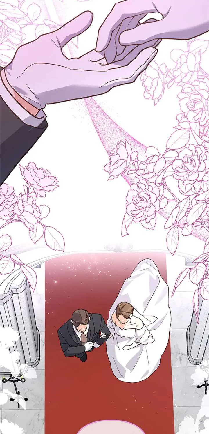 Cat in the Chrysalis Chapter 81 Online - página 14