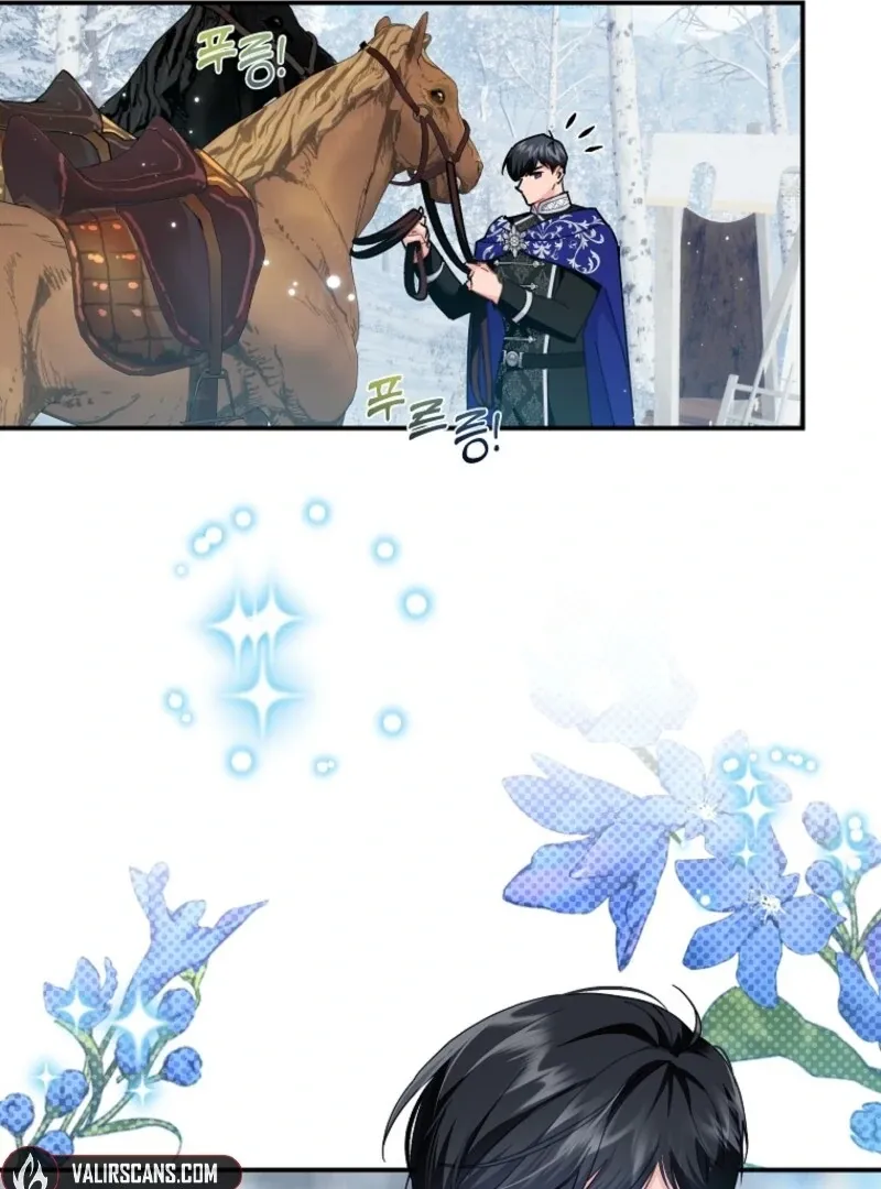 Cavier Falcon Princess Chapter 128 Online - página 13