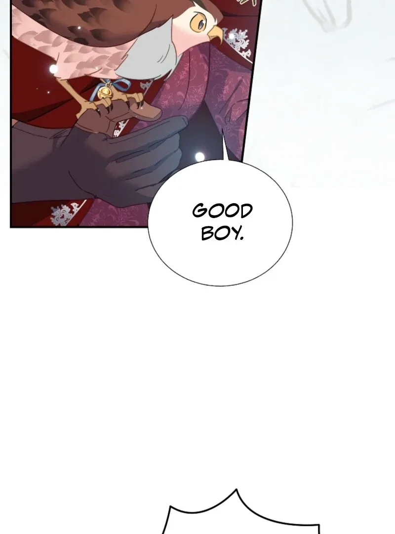 Cavier Falcon Princess Chapter 128 Online - página 41
