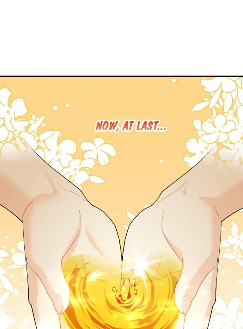 Cavier Falcon Princess Chapter 128 Online - página 67