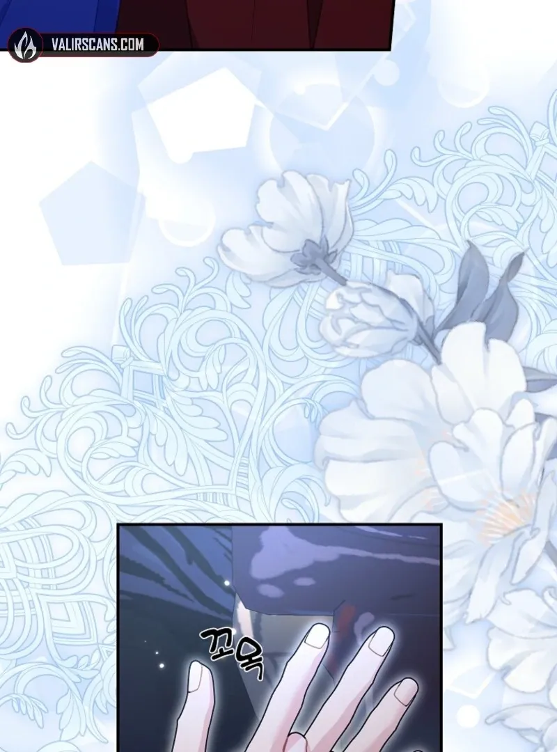 Cavier Falcon Princess Chapter 128 Online - página 117