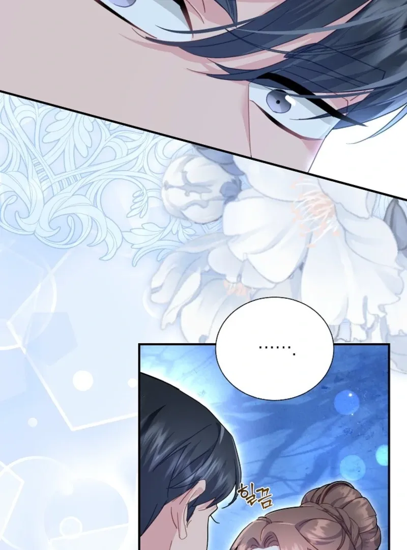 Cavier Falcon Princess Chapter 128 Online - página 119