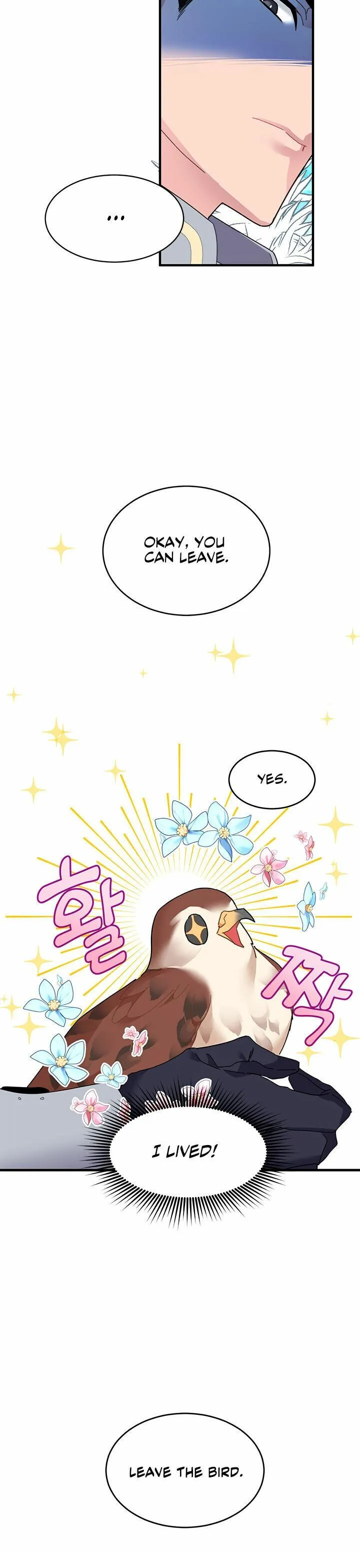 Cavier Falcon Princess Chapter 3 Online - página 20