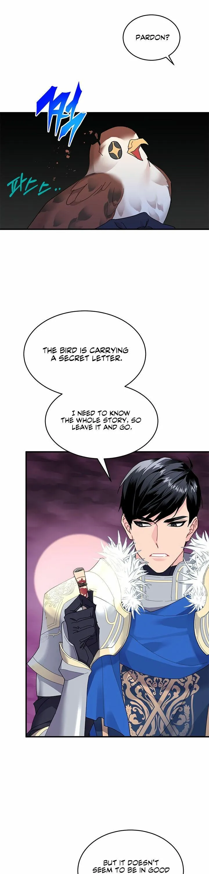 Cavier Falcon Princess Chapter 3 Online - página 21