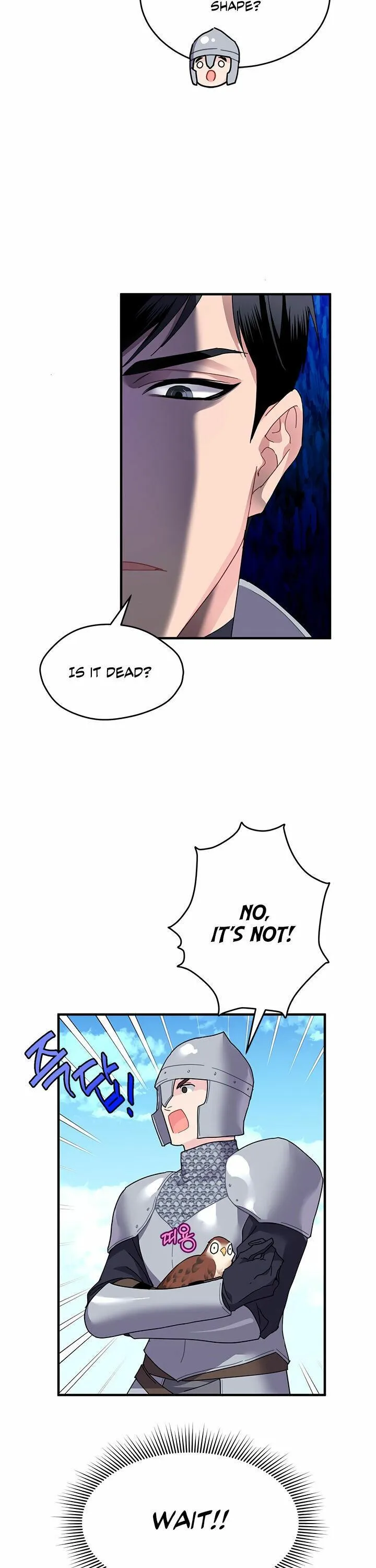 Cavier Falcon Princess Chapter 3 Online - página 22