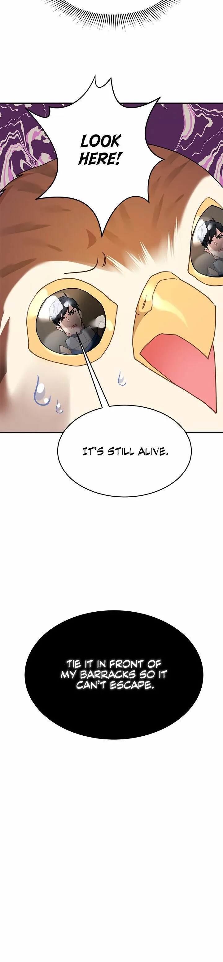 Cavier Falcon Princess Chapter 3 Online - página 23