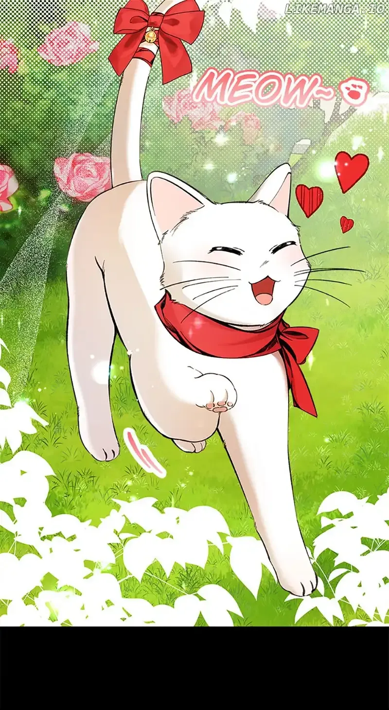 Charlotte’s Wheel Chapter 28 Online - página 13