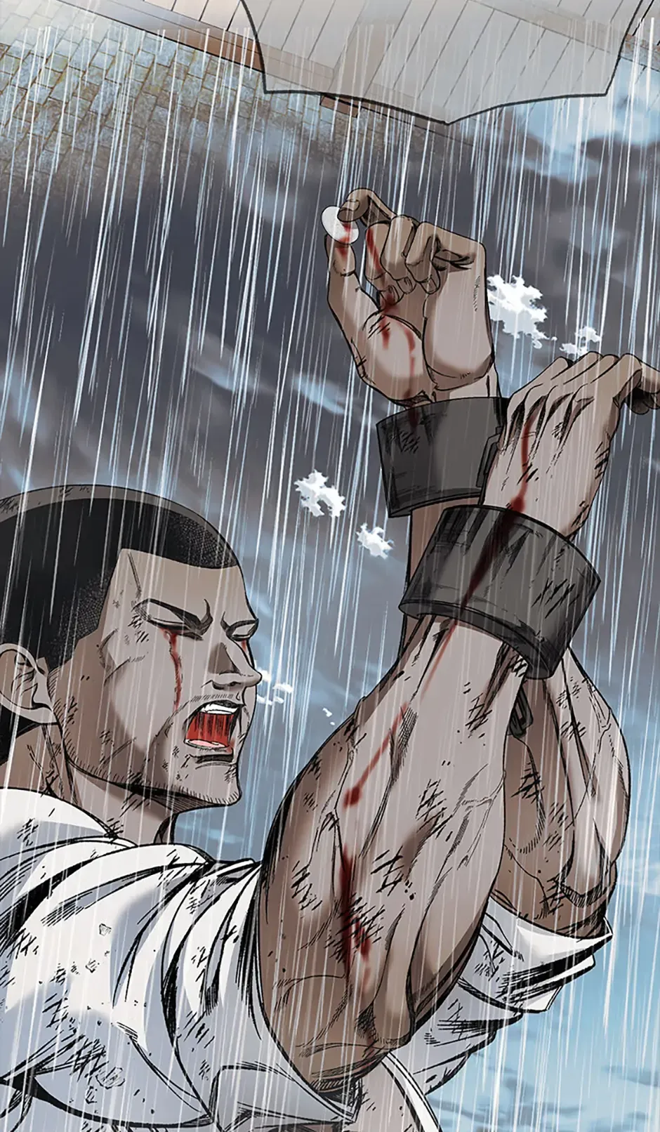 Charlotte’s Wheel Chapter 82 Online - página 62