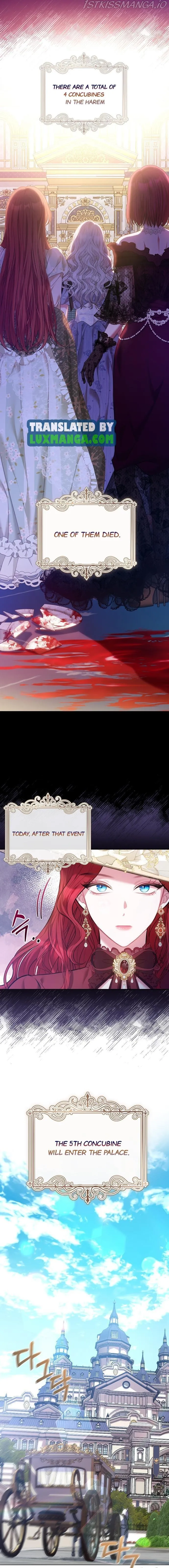 Concubine’s Invitation Chapter 1 Online - página 3