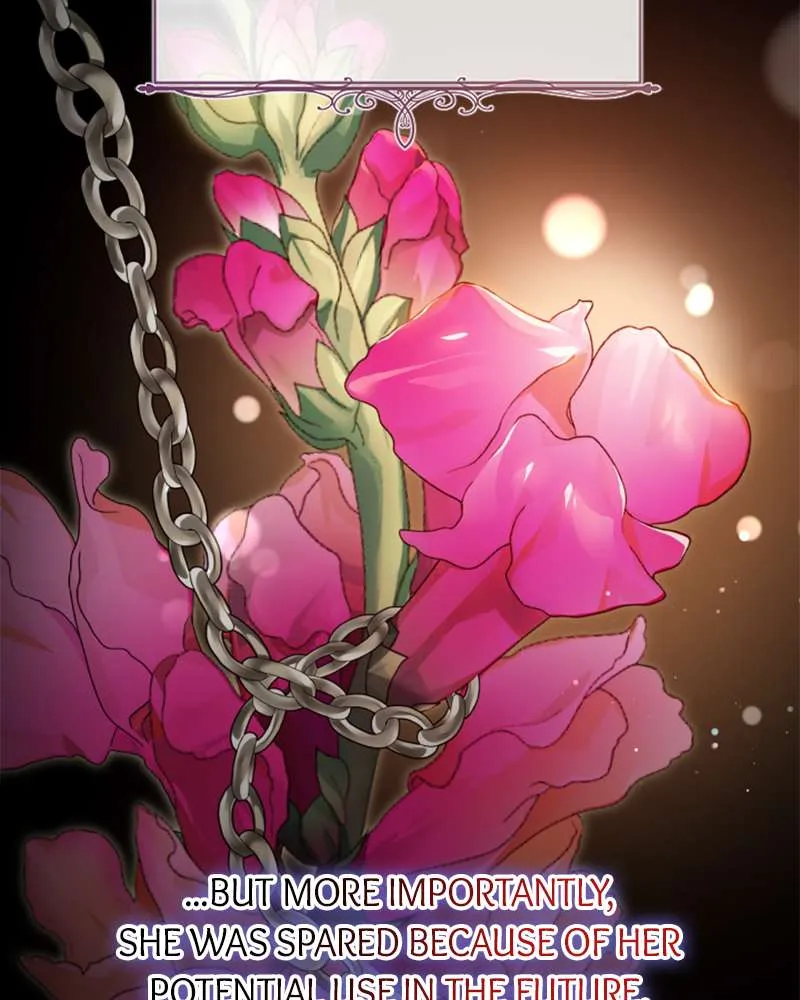 Concubine’s Invitation Chapter 62 Online - página 19